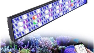 Best Popbloom Reef Light with Wifi Control: How to Pick