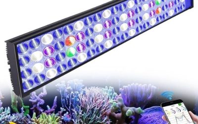 Best Popbloom Reef Light with Wifi Control: How to Pick