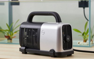 Air Pump vs Powerhead for Aquarium: Which Is Right for Your Home (2026)