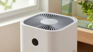 Air Purifier For Dust And Dog Hair