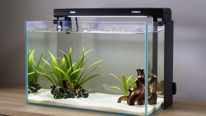 AQUA DAREN 10 Gallon Rimless Aquarium vs NICREW Nano Silent Aquarium Air Pump: Which Should You Buy?
