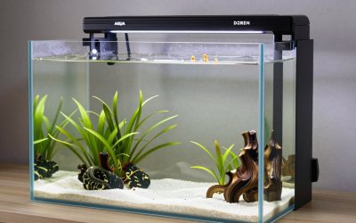 AQUA DAREN 10 Gallon Rimless Aquarium vs NICREW Nano Silent Aquarium Air Pump: Which Should You Buy?