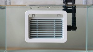 Aquarium Heater Guard vs Heater Controller: Which Is Right for Your Home (2026)