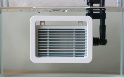 Aquarium Heater Guard vs Heater Controller: Which Is Right for Your Home (2026)