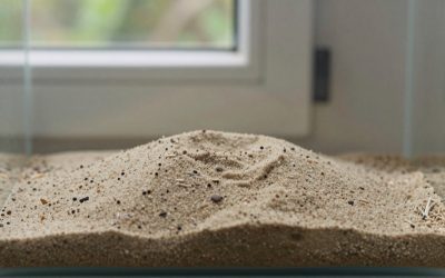 Aquarium Sand Substrate Pros and Cons: An Honest Answer (2026)