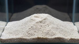 Aragonite Sand vs Crushed Coral Substrate: Which Is Right for Your Home (2026)