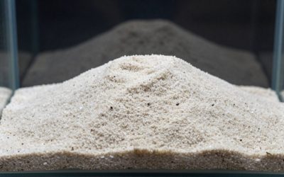 Aragonite Sand vs Crushed Coral Substrate: Which Is Right for Your Home (2026)