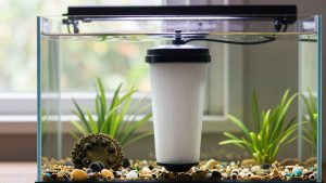 Are Aquarium Filter Prefilters Worth It? An Honest Answer (2026)