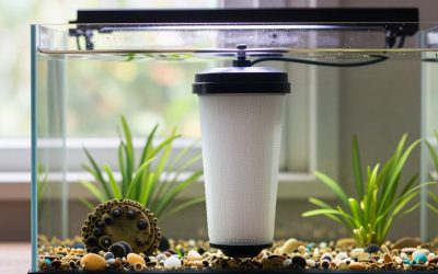 Are Aquarium Filter Prefilters Worth It? An Honest Answer (2026)
