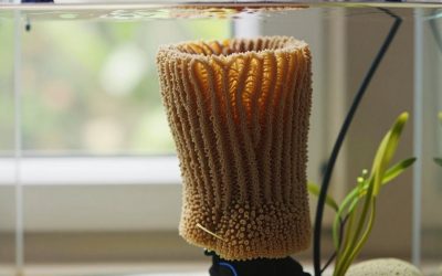 Are Aquarium Sponge Filters Worth It? An Honest Answer (2026)