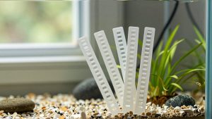 Are Aquarium Test Strips Worth It? An Honest Answer (2026)