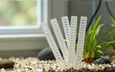 Are Aquarium Test Strips Worth It? An Honest Answer (2026)