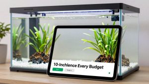 Best 10-Inch Tablets for Every Budget