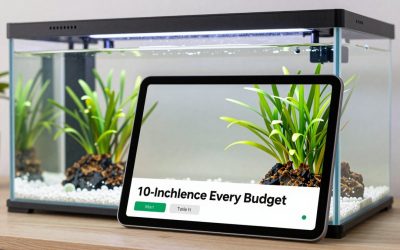 Best 10-Inch Tablets for Every Budget