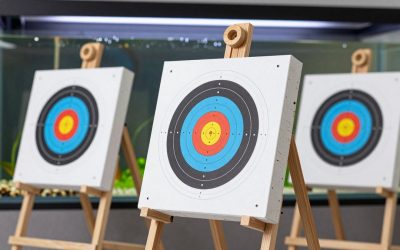 Best 3D Archery Targets for Practice