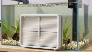 Best Ac Filter For Allergies And Pets