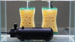 Best Air Pump for Two Sponge Filters in 2026: Compared and Ranked