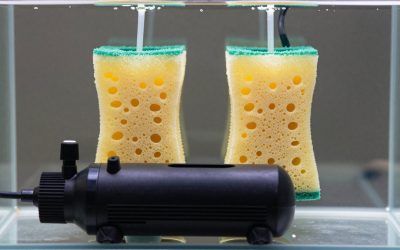 Best Air Pump for Two Sponge Filters in 2026: Compared and Ranked