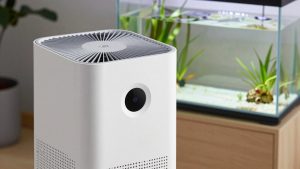 Best Air Purifier For Dog Allergies
