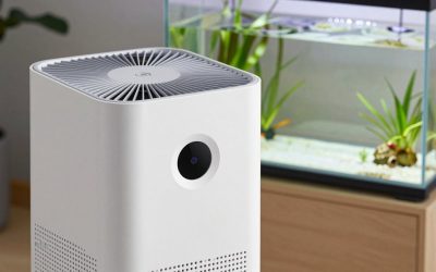 Best Air Purifier For Dog Allergies