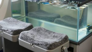 Best Airplane Seat Cushions in 2026: Compared and Ranked