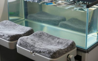 Best Airplane Seat Cushions in 2026: Compared and Ranked