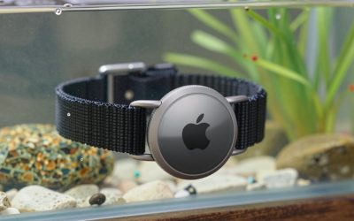 Best Apple AirTag Dog Collars for Secure Fit
