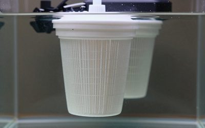 Best Aquarium Filter