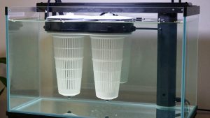Best Aquarium Filter for Large Tanks