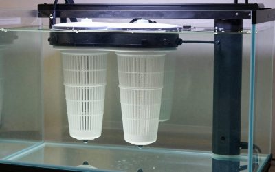 Best Aquarium Filter for Large Tanks