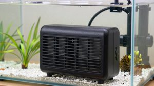 Best Aquarium Heater for 20 Gallon Shrimp Tank in 2026: Compared and Ranked