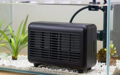 Best Aquarium Heater for 20 Gallon Shrimp Tank in 2026: Compared and Ranked
