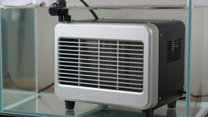 Best Aquarium Heater for 75 Gallon Tank in 2026: Compared and Ranked