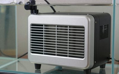 Best Aquarium Heater for 75 Gallon Tank in 2026: Compared and Ranked
