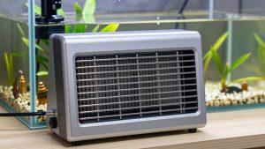 Best Aquarium Heaters for Small Tanks in 2026: Compared and Ranked