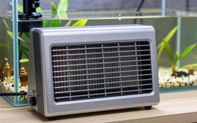 Best Aquarium Heaters for Small Tanks in 2026: Compared and Ranked