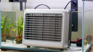 Best Aquarium Heaters for Small Tanks: Right-Size Wattage for 2-10 Gallons