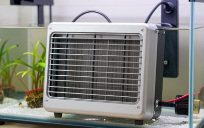 Best Aquarium Heaters for Small Tanks: Right-Size Wattage for 2-10 Gallons