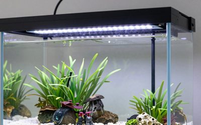 Best Aquarium LED Lighting in 2026: Compared and Ranked