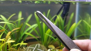 Best Aquarium Planting Tweezers in 2026: Compared and Ranked