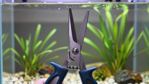 Best Aquascaping Scissors in 2026: Compared and Ranked