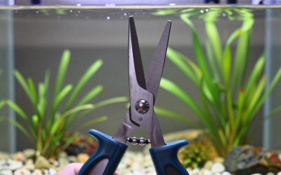 Best Aquascaping Scissors in 2026: Compared and Ranked