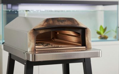 Best Bbq Pizza Ovens in 2026: What to Know Before You Buy