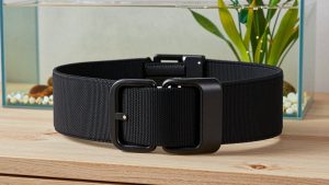 Best Belt Squat Belt in 2026: What to Know Before You Buy