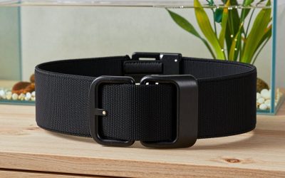 Best Belt Squat Belt in 2026: What to Know Before You Buy