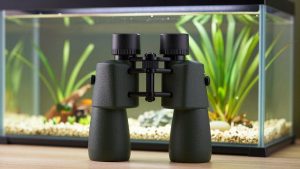 Best Binoculars for Hunting in Any Light