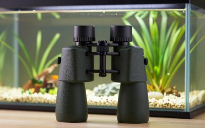 Best Binoculars for Hunting in Any Light