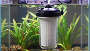 Best Canister Filter for 55 Gallon Planted Tank in 2026: Compared and Ranked