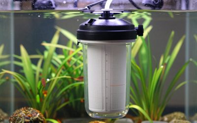 Best Canister Filter for 55 Gallon Planted Tank in 2026: Compared and Ranked