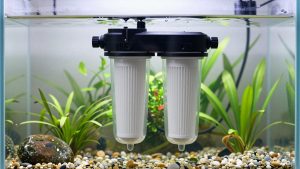 Best Canister Filter for 75 Gallon Planted Tank in 2026: Compared and Ranked